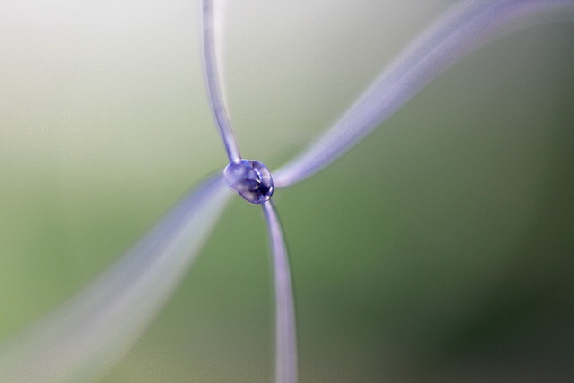 Experience the Magic of Winter at Cottonwood Connect TL;DR: Cottonwood…