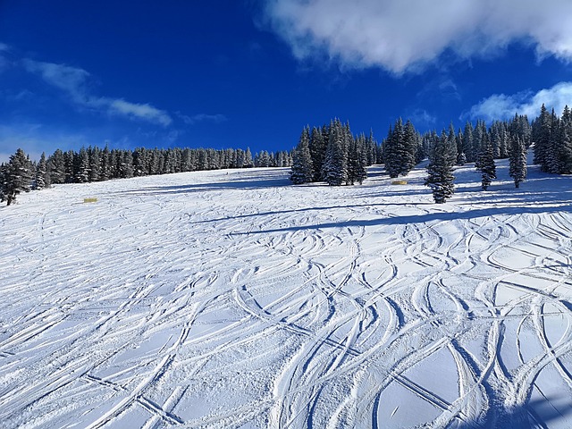 Cottonwood Ski Resort Transit: Your Ultimate Guide to Park City…