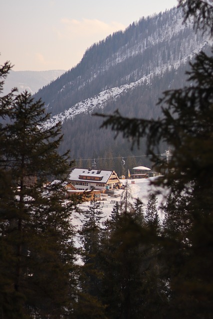 Experience the Powder Mountain Paradise with saltlakeskitrain.com TL;DR: Elevate your…