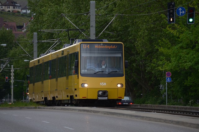 Discover the Enchanted Winter Wonderland: TRAX Light Rail to Park…