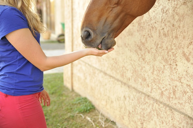 Embark on an Unforgettable Winter Escapade at Cottonwood Connect TL;DR…