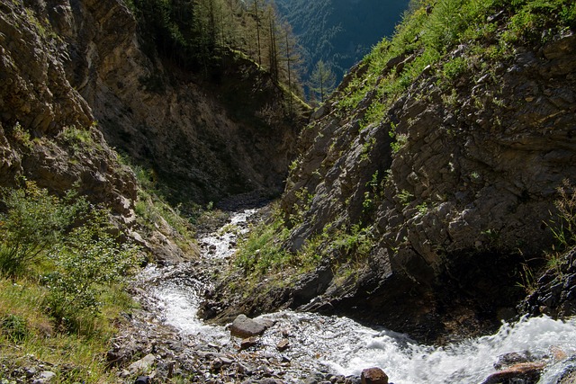 Adventure Awaits: Discover the Enchanting World of Canyon Transportation TL;DR…