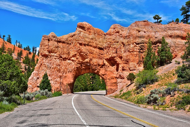 Delight in Winter’s Paradise: Uncover the Allure of Canyon Transportation…