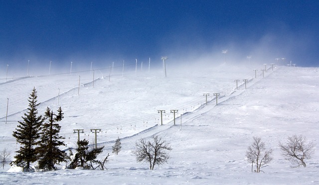 Embracing the Alta Adventure with Salt Lake Ski Train TL;DR:…