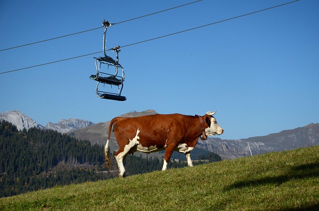 Headline: Discover the Ultimate Ski Lift Experience in Park City’s…