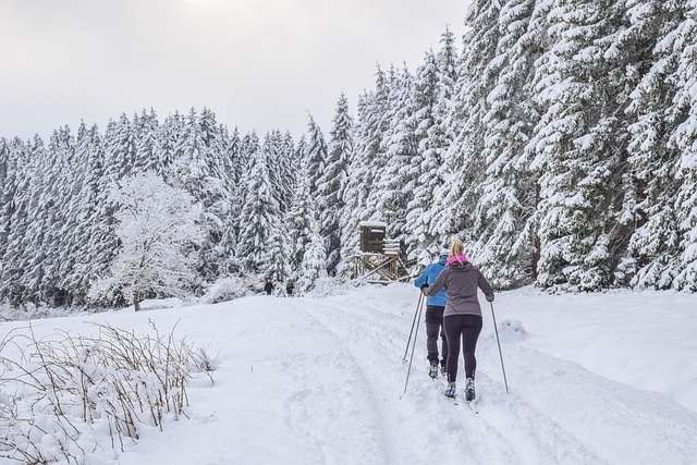 Heber Valley’s Gondola Adventure: Escape to Ski Paradise with SaltLakeSkiTrain.com…