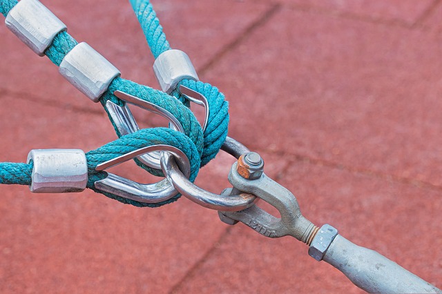 Discover the Thrill of Cottonwood Connect: Your Gateway to Deer…