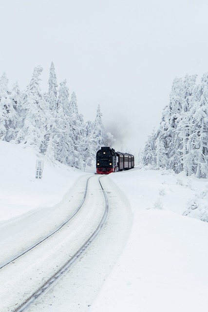 Discover the Ultimate Ski Escape with Salt Lake Ski Train…