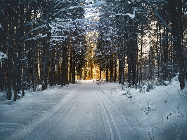 Ski Super Pass to Powder Mountain: Your Ultimate Winter Getaway…