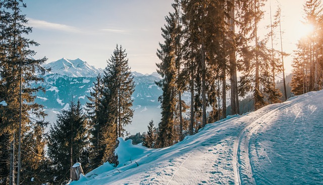 Embrace Winter’s Wonders with Salt Lake Ski Train to Snowbasin…