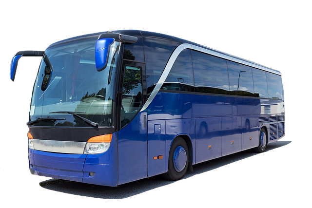 Escape to Solitude: Unforgettable Moments with Private Transportation from saltlakeskitrain.com…