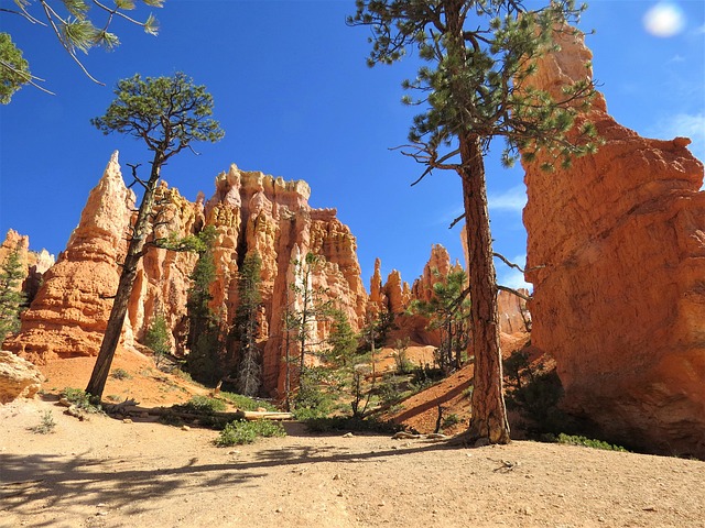 Uncover the Secrets of Canyon Transportation in Snowbird: Your Gateway…
