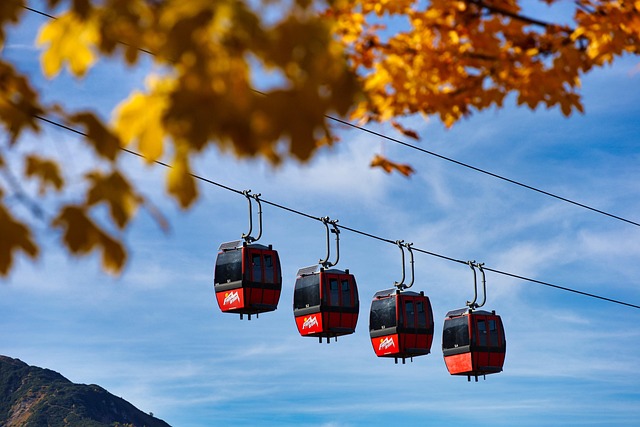 Explore the Enchanting Realm of Solitude Mountain Resort with Salt…